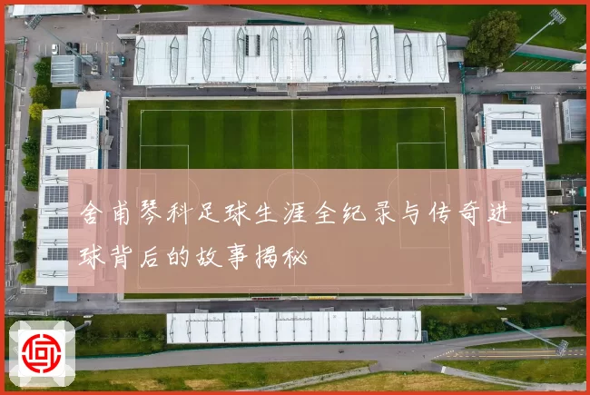 舍甫琴科足球生涯全纪录与传奇进球背后的故事揭秘