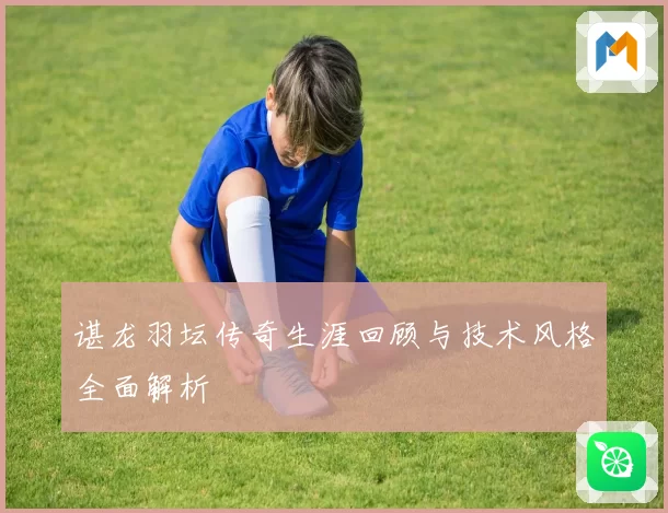 谌龙羽坛传奇生涯回顾与技术风格全面解析