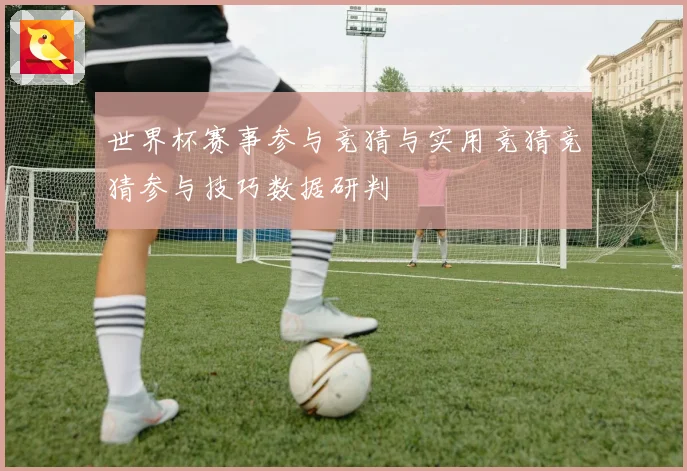 世界杯赛事参与竞猜与实用竞猜竞猜参与技巧数据研判