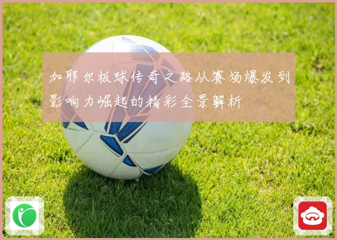 加耶尔板球传奇之路从赛场爆发到影响力崛起的精彩全景解析