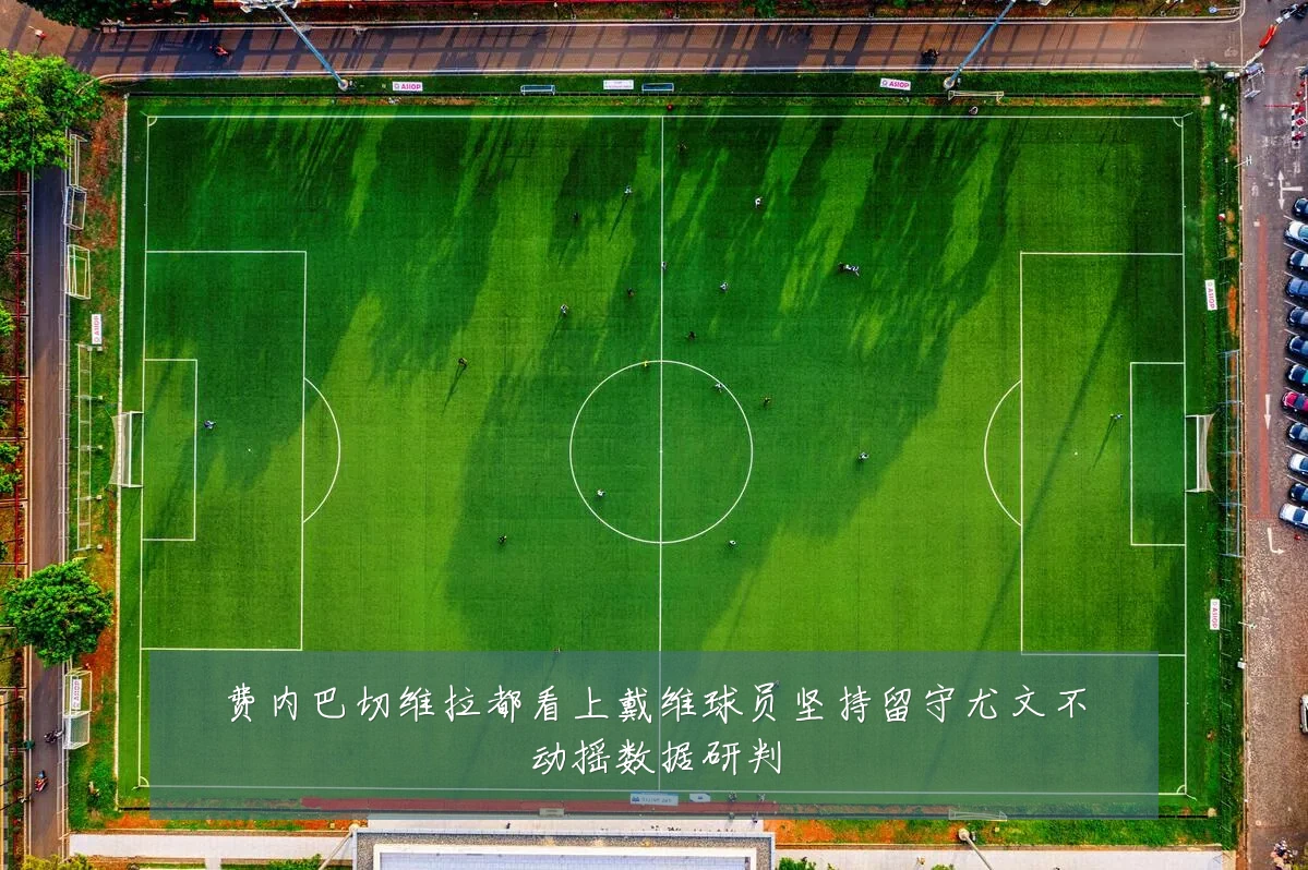 费内巴切维拉都看上戴维球员坚持留守尤文不动摇数据研判